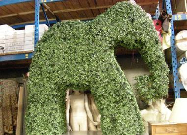 Elefante