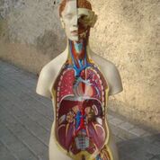 Varios