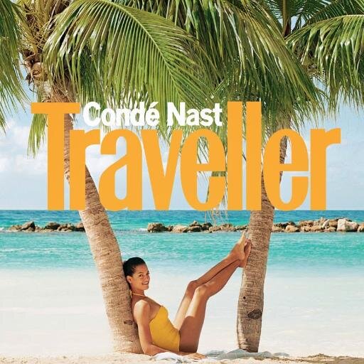 traveller